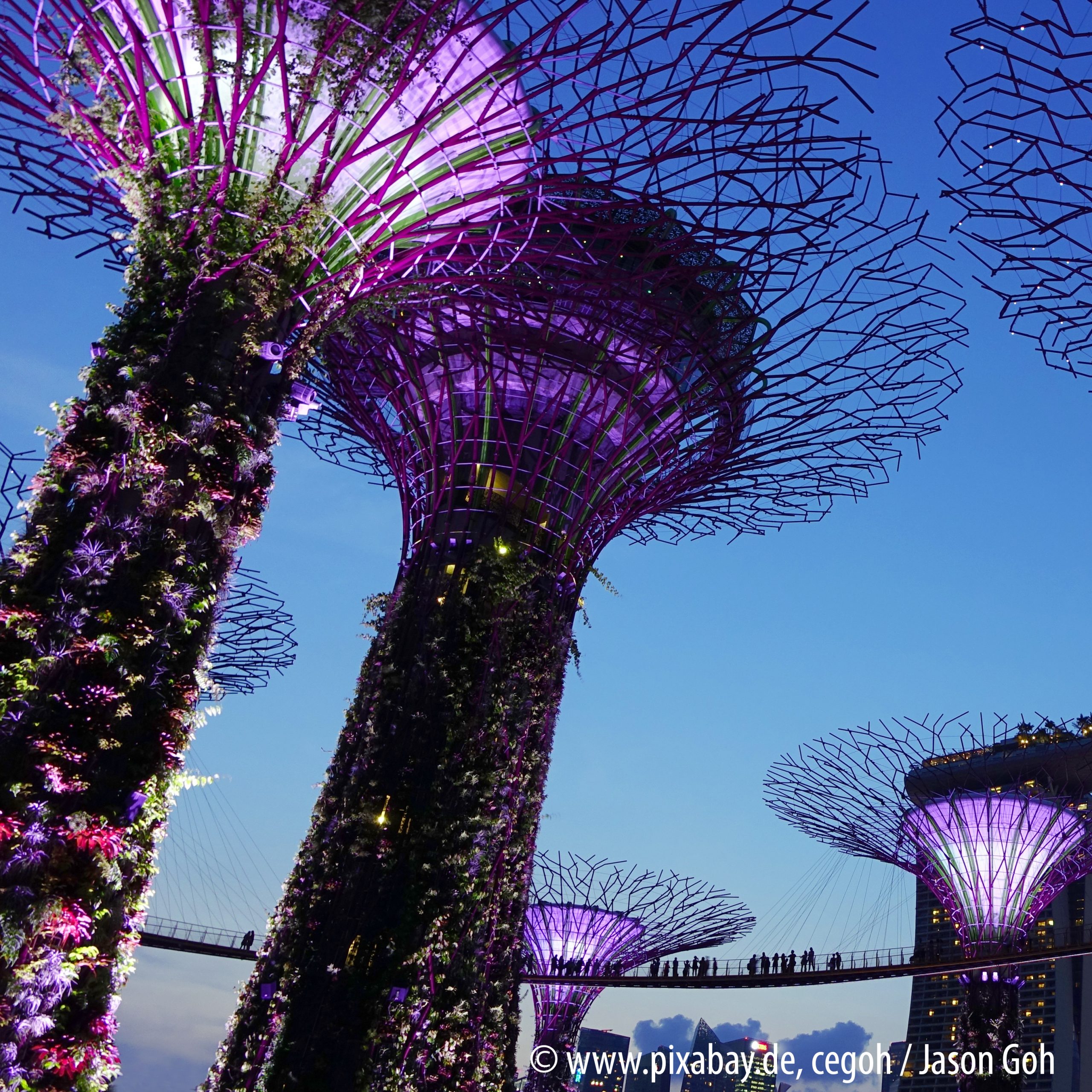 Berufserfahrungen und Praktika in Singapur