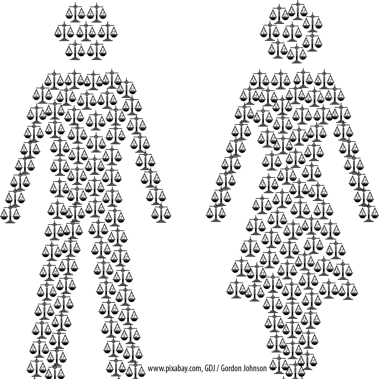 Newsletter Februar 2020