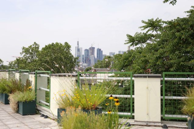 Dachterrasse mit Skylineblick