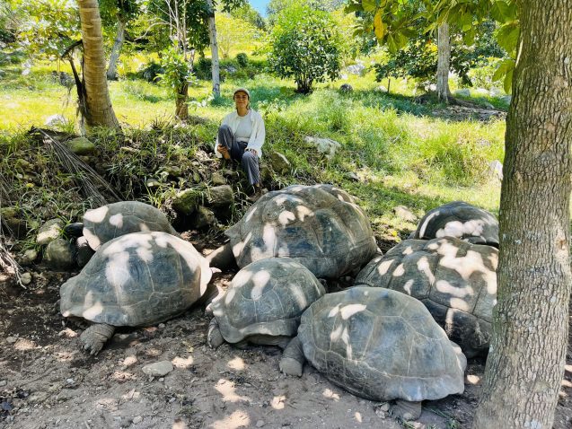 Laura Gómez Devia mit Aldabra-Riesenschildkröten auf den Seychellen